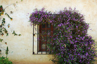 Doors & Windows
